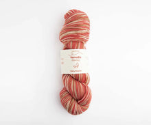 Load image into Gallery viewer, Stormy Sock Yarn