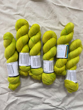 Load image into Gallery viewer, Picnic Colorway Collection