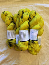 Load image into Gallery viewer, Girl Detective Colorway Collection