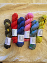 Load image into Gallery viewer, Girl Detective Colorway Collection