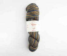 Load image into Gallery viewer, Stormy Sock Yarn