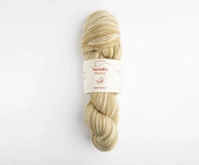 Load image into Gallery viewer, Stormy Sock Yarn