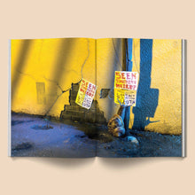 Load image into Gallery viewer, Snail World 2: Welcome to Slimetown