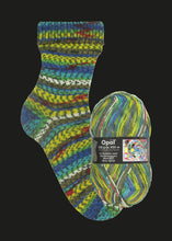 Load image into Gallery viewer, Hundertwasser Sock Yarn