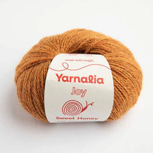 Load image into Gallery viewer, Joy