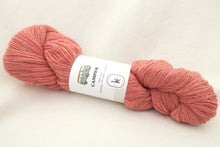 Load image into Gallery viewer, Camper