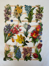 Load image into Gallery viewer, Poezieplaatjes

