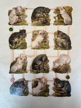 Load image into Gallery viewer, Poezieplaatjes
