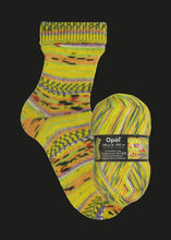 Load image into Gallery viewer, Hundertwasser Sock Yarn
