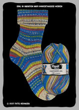 Load image into Gallery viewer, Hundertwasser Sock Yarn
