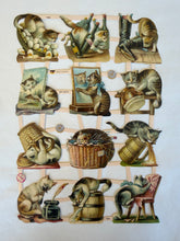 Load image into Gallery viewer, Poezieplaatjes
