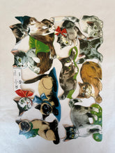 Load image into Gallery viewer, Poezieplaatjes
