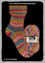 Load image into Gallery viewer, Hundertwasser Sock Yarn
